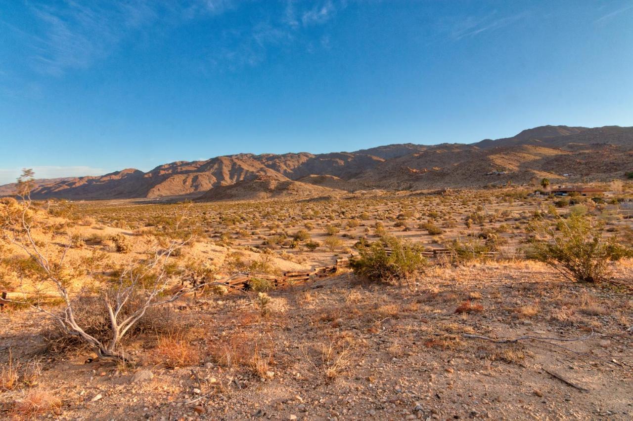 Chuck's In A Joshua Tree Community * Twentynine Palms
